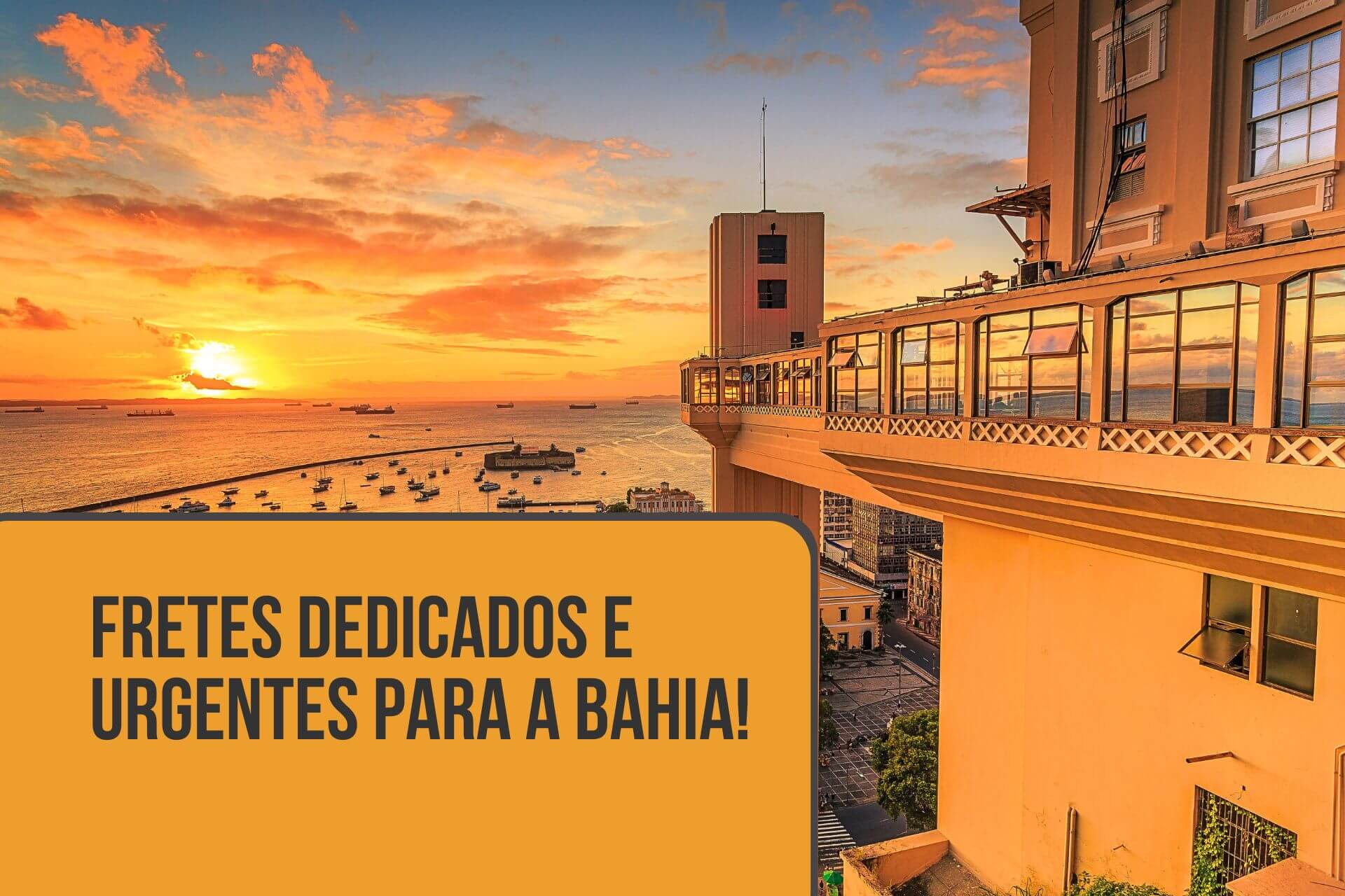 Transportadora São Paulo